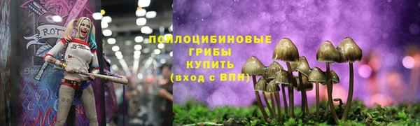 Альфа ПВП Дмитров