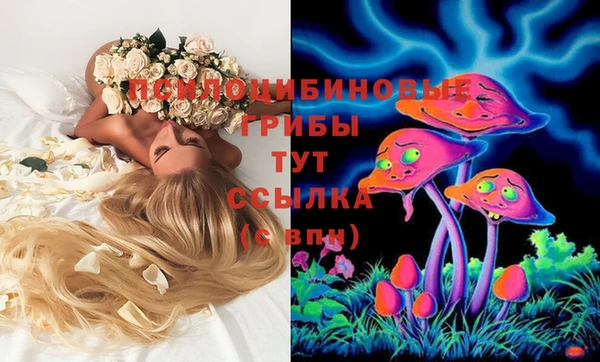 экстази Дмитровск