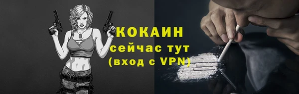Альфа ПВП Дмитров