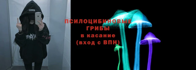 кокаин перу Дмитриев